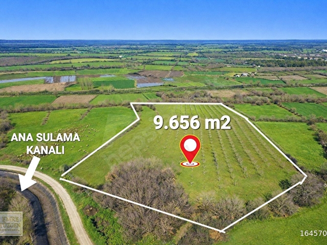 SATILIK 9.656 m2 10 YAŞLI CEVİZLİK