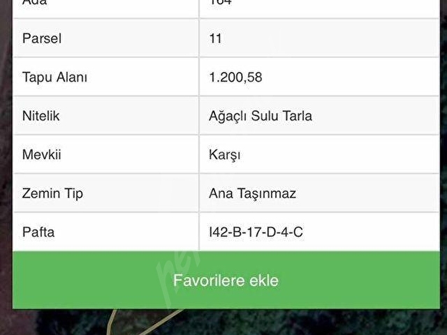 OSKAR EMLAKTAN ÇATALARMUT KÖYÜNDE SATILIK TARLALAR - Görsel 9