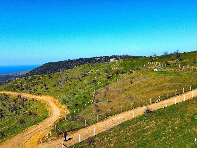 AYVACIK, KESTANELİKTE DENİZ, GÖL VE ORMAN MANZARALI EŞSİZ ARAZİ - Görsel 7