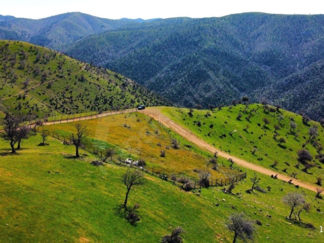 AYVACIK, KESTANELİKTE DENİZ, GÖL VE ORMAN MANZARALI EŞSİZ ARAZİ - Görsel 16