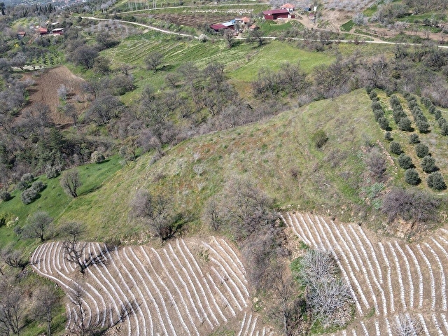METAdan Çayağzı Çelebilerde 3955 m² 4 tapu tarla - Görsel 15