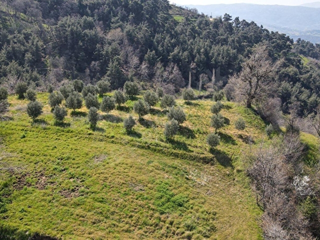 METAdan Çayağzı Çelebilerde 3955 m² 4 tapu tarla - Görsel 14