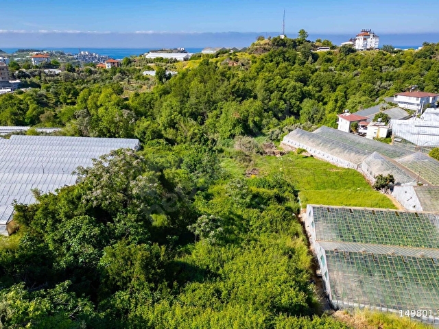 ALANYA KONAKLI MAH. DENİZ MANZARALI SATILIK TARLA VE MÜSTAKİL EV - Görsel 13