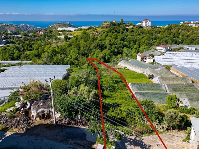ALANYA KONAKLI MAH. DENİZ MANZARALI SATILIK TARLA VE MÜSTAKİL EV - Görsel 3