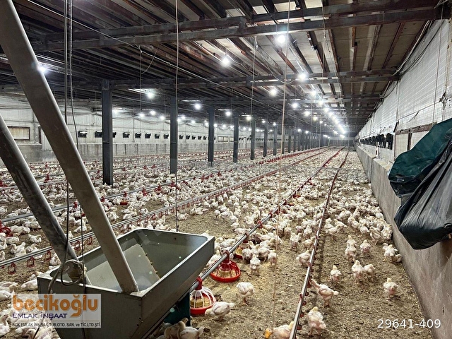 BECİKOĞLU EMLAK GEREDE DE SATILIK 100.000 LİK  TAVUK KÜMESİ - Görsel 26