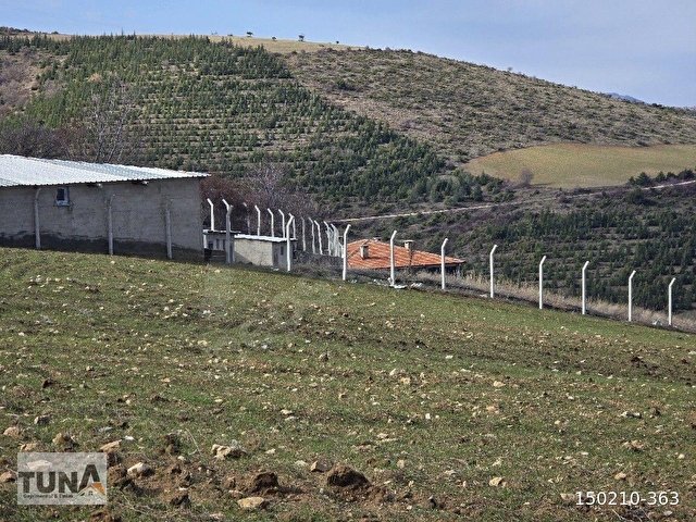 Tokat Hasanbaba köyünde satılık 2 adet tarla toplam 13520 metrekare - Görsel 2