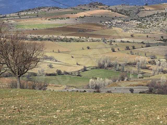 Tokat Hasanbaba köyünde satılık 2 adet tarla toplam 13520 metrekare - Görsel 4