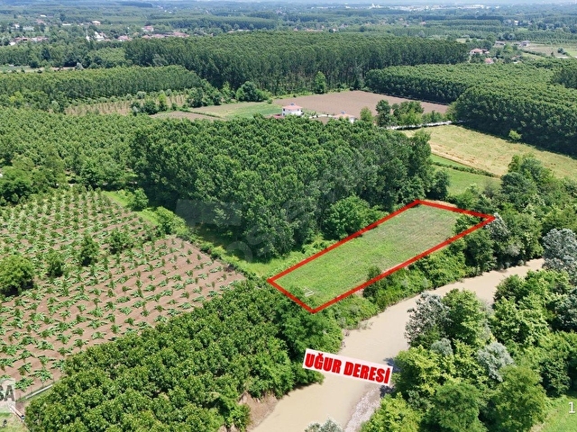 KW METSADAN DÜZCE MERKEZ ÇERKEZ BALLICADAN SATILIK ARSA - Görsel 4