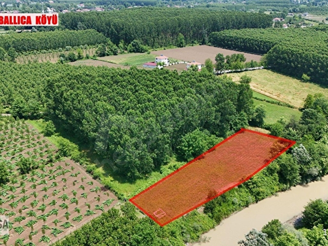 KW METSADAN DÜZCE MERKEZ ÇERKEZ BALLICADAN SATILIK ARSA