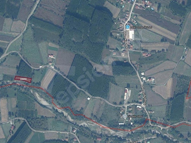 KW METSADAN DÜZCE MERKEZ ÇERKEZ BALLICADAN SATILIK ARSA - Görsel 16