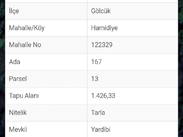 KOCAELİ /GÖLCÜK /HAMİDİYE SATILIK TARLA 1426,33