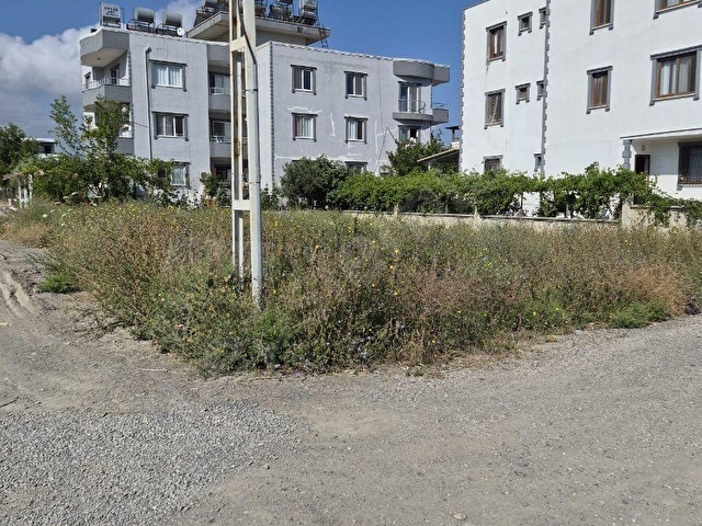 Denize 400 metre uzaklıkta - Görsel 2