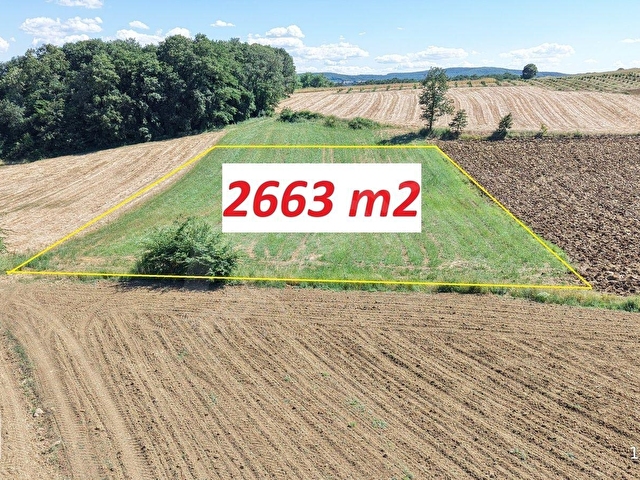 KANDIRA SEYİTALİLER MAHALLESİNDE 2663 M2 FIRSAT ARAZİ
