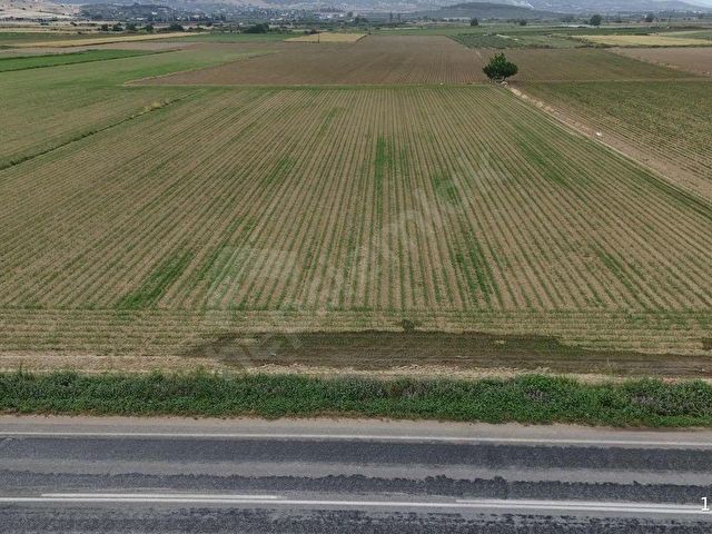 PEK EMLAKTAN İZMİR TİRE ASFALTINA CEPHELİ 6,950m2 SATILIK TARLA - Görsel 6