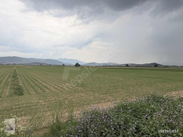 PEK EMLAKTAN İZMİR TİRE ASFALTINA CEPHELİ 6,950m2 SATILIK TARLA - Görsel 14