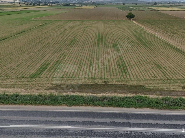 PEK EMLAKTAN İZMİR TİRE ASFALTINA CEPHELİ 6,950m2 SATILIK TARLA - Görsel 5