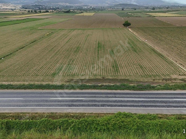 PEK EMLAKTAN İZMİR TİRE ASFALTINA CEPHELİ 6,950m2 SATILIK TARLA - Görsel 8