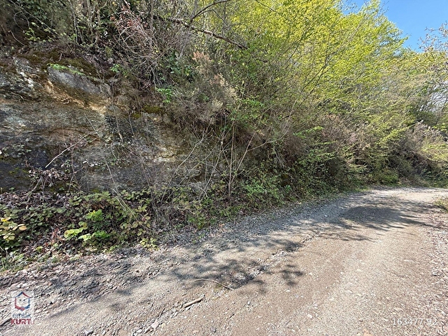 Çağlayan Mahallesinde, Resmi yola Cepheli. Çağlayana 2km Uzakta - Görsel 15