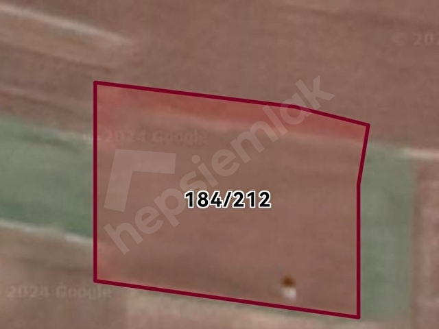 TEKİRDAĞ SÜLEYMANPAŞA FERHADANLI MAH. İMARA YAKIN 1804 M2 TARLA - Görsel 11