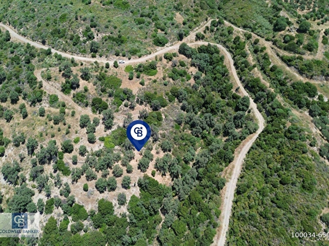 Sarpıncıkta Deniz Manzaralı 7312 m² Yatırımlık Arazi - Görsel 8