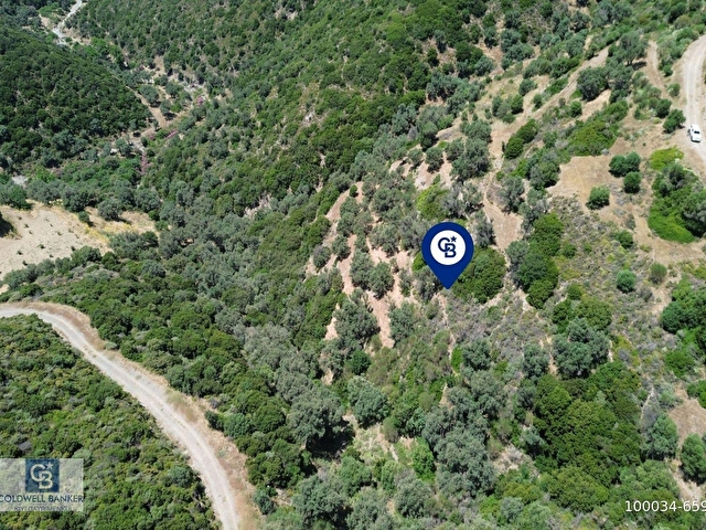 Sarpıncıkta Deniz Manzaralı 7312 m² Yatırımlık Arazi - Görsel 17