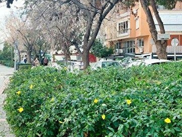 İzmir Karşıyaka Bahriye Üçok da KİRALIK Bakımlı, Aydınlık Daire - Görsel 30