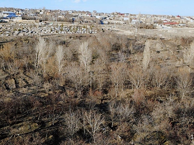 VUSLAT EMLAKTAN GÜLLÜCE KÖYÜ GİRİŞİNDE SATILIK 1212 m2 BAHÇE - Görsel 3