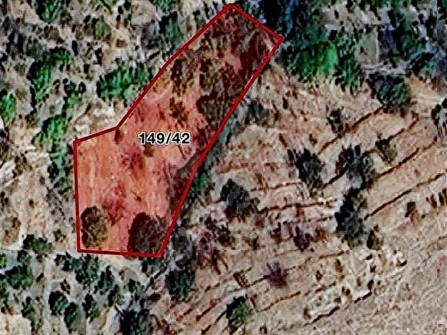 VUSLAT EMLAKTAN GÜLLÜCE KÖYÜ GİRİŞİNDE SATILIK 1212 m2 BAHÇE - Görsel 12