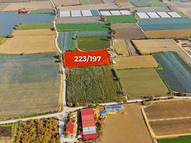 BAYINDIR YAKAPINARDA 7.432 M2 YATIRIMLIK TARLA FIRSATI