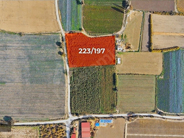 BAYINDIR YAKAPINARDA 7.432 M2 YATIRIMLIK TARLA FIRSATI - Görsel 3