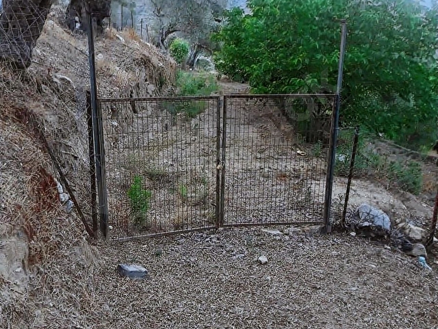 TİRE ÇAĞAN GAYRİMENKULDEN ÇENİKLER MAHALLESİNDE SUYU OLAN BAHÇE - Görsel 17