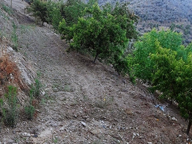 TİRE ÇAĞAN GAYRİMENKULDEN ÇENİKLER MAHALLESİNDE SUYU OLAN BAHÇE - Görsel 9