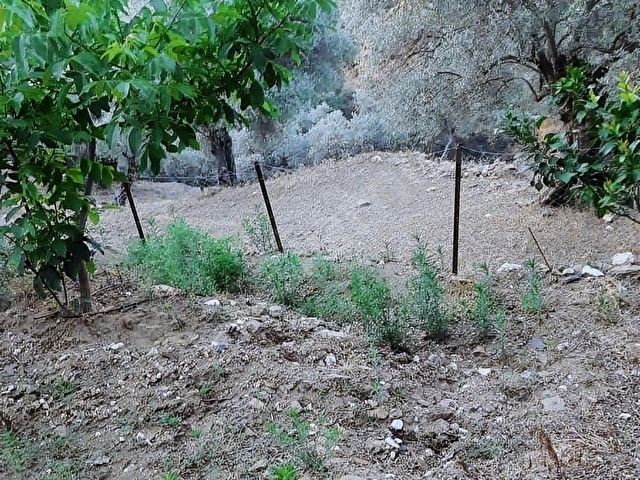 TİRE ÇAĞAN GAYRİMENKULDEN ÇENİKLER MAHALLESİNDE SUYU OLAN BAHÇE - Görsel 27