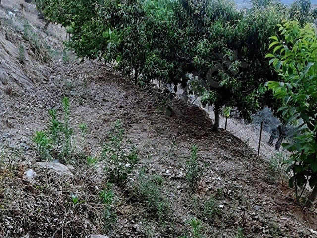 TİRE ÇAĞAN GAYRİMENKULDEN ÇENİKLER MAHALLESİNDE SUYU OLAN BAHÇE - Görsel 7