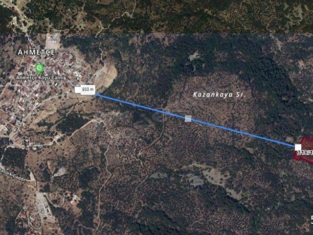ÇANAKKALE AYVACIK AHMETÇE KÖYÜ 8 DÖNÜM HARİKA ZEYTİNLİK FIRSAT - Görsel 4