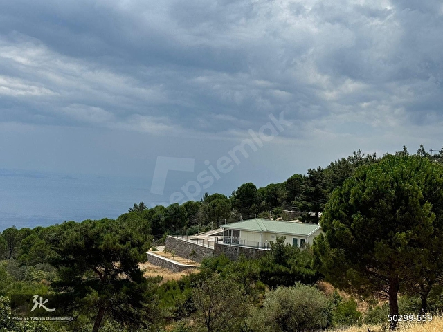 ÇANAKKALE AYVACIK AHMETÇE KÖYÜ 8 DÖNÜM HARİKA ZEYTİNLİK FIRSAT - Görsel 6