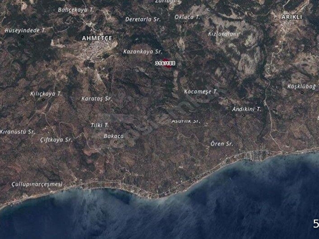 ÇANAKKALE AYVACIK AHMETÇE KÖYÜ 8 DÖNÜM HARİKA ZEYTİNLİK FIRSAT - Görsel 3