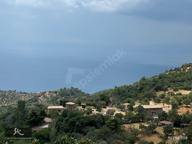 ÇANAKKALE AYVACIK AHMETÇE KÖYÜ 8 DÖNÜM HARİKA ZEYTİNLİK FIRSAT - Görsel 16