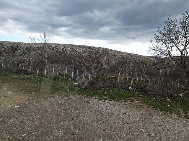 ÇAYIRBAĞI MEVKİSİNİN EN HESAPLISI BAHÇE NİTELİKLİ MÜSTAKİL TAPULU - Görsel 11