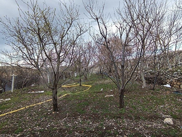 ÇAYIRBAĞI MEVKİSİNİN EN HESAPLISI BAHÇE NİTELİKLİ MÜSTAKİL TAPULU - Görsel 18