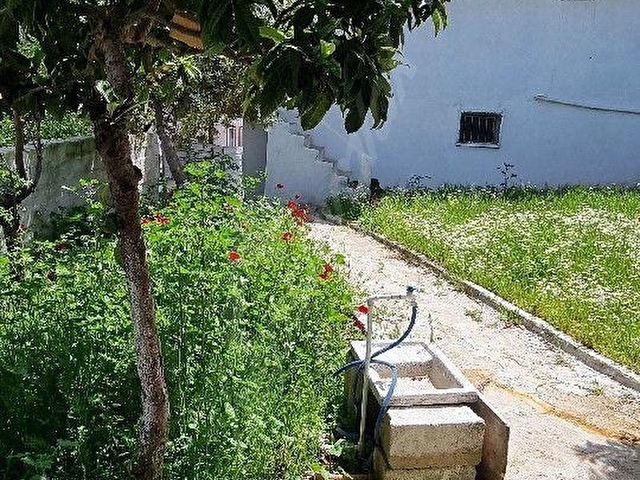 Muğla milas Gümüşlükte 1+1 ve 3+1 kiralik eşyalı daireler - Görsel 2
