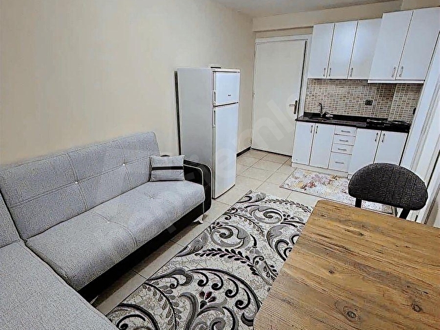 ZEYTİNKÖYDE FIRSAT 1+1 EŞYALI SATILIK APART - Görsel 4