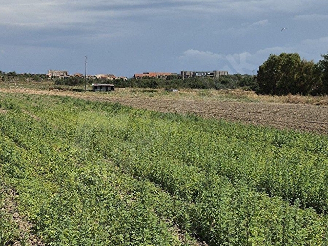 ÇEŞME ÇİFTLİK  KAZANDIRAN YATIRIM - Görsel 19