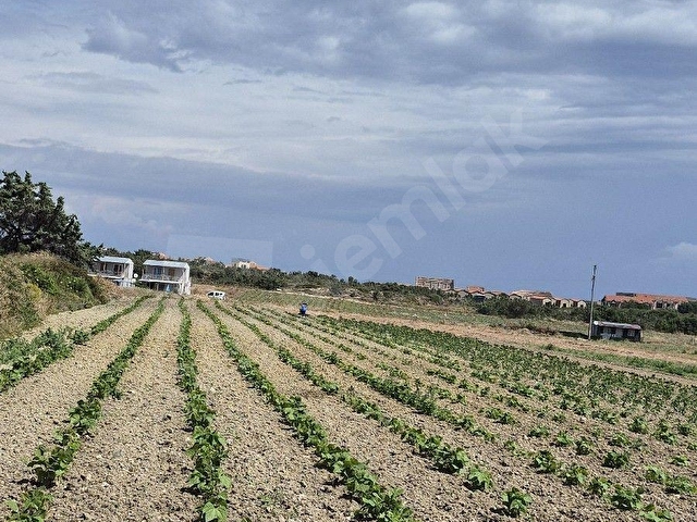 ÇEŞME ÇİFTLİK  KAZANDIRAN YATIRIM - Görsel 23