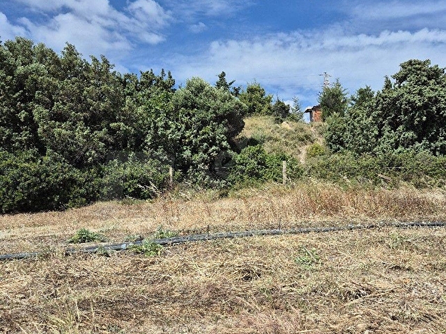 ÇEŞME ÇİFTLİK  KAZANDIRAN YATIRIM - Görsel 29