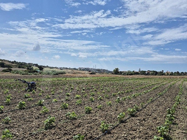 ÇEŞME ÇİFTLİK  KAZANDIRAN YATIRIM - Görsel 30