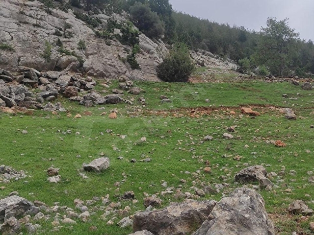 TARSUS OLUKKOYAĞI MAH.DE SATILIK 803 M2LİK TARLA - Görsel 3