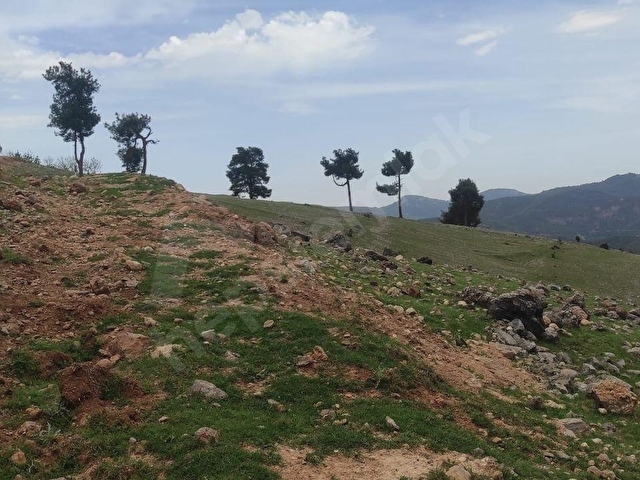 TARSUS OLUKKOYAĞI MAH.DE SATILIK 803 M2LİK TARLA - Görsel 8