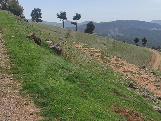 TARSUS OLUKKOYAĞI MAH.DE SATILIK 803 M2LİK TARLA - Görsel 6