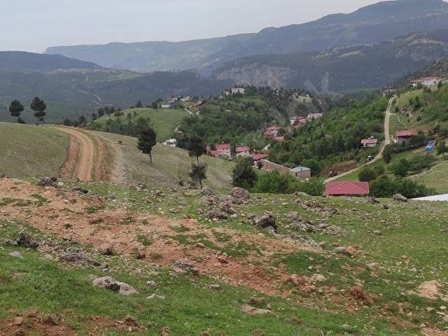 TARSUS OLUKKOYAĞI MAH.DE SATILIK 803 M2LİK TARLA - Görsel 7